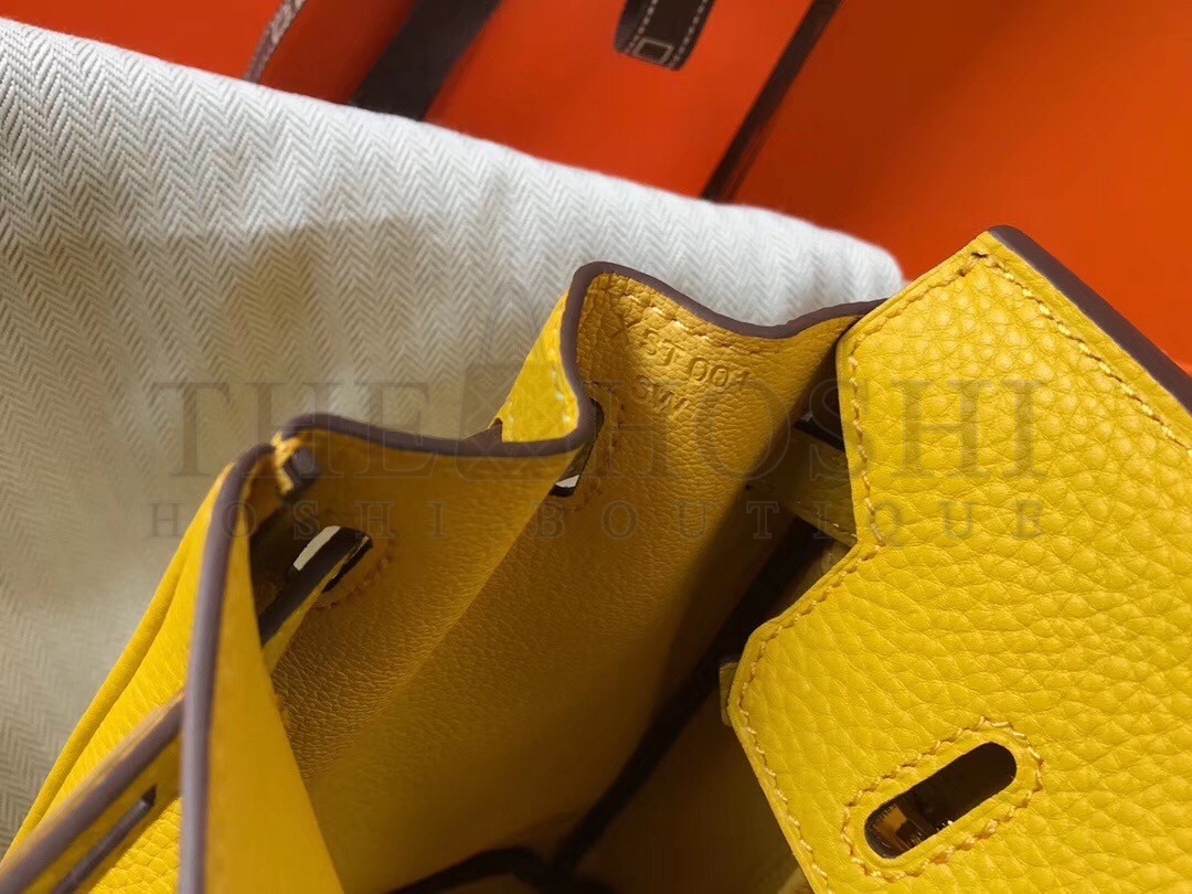 H**me5 Birkin 25cm Bag In Soleil Clemence Leather Master Quality