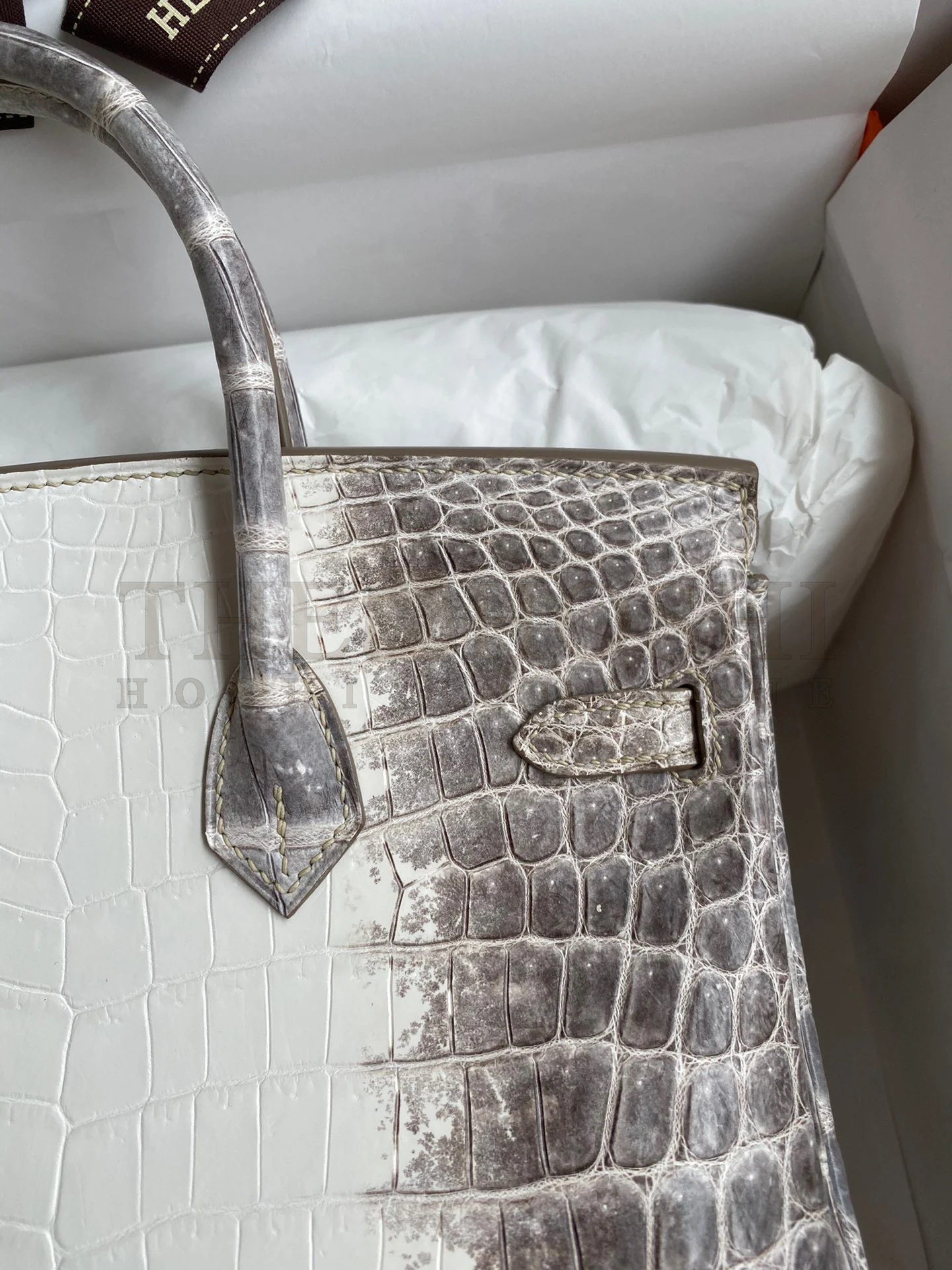 H**me5 Birkin 25 D1am0nd Bag In Himalaya Niloticus Crocodile Skin Master Quality