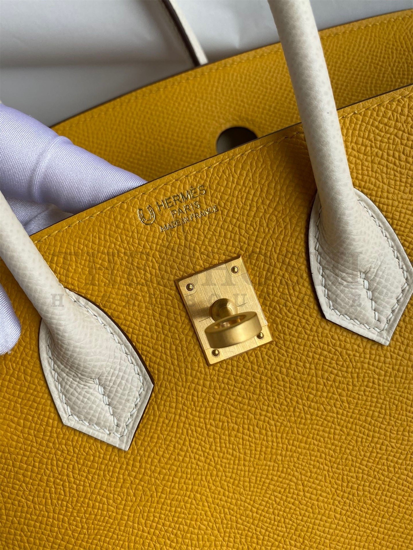 H**me5 HSS Birkin 25 Bicolor Bag in Jaune d