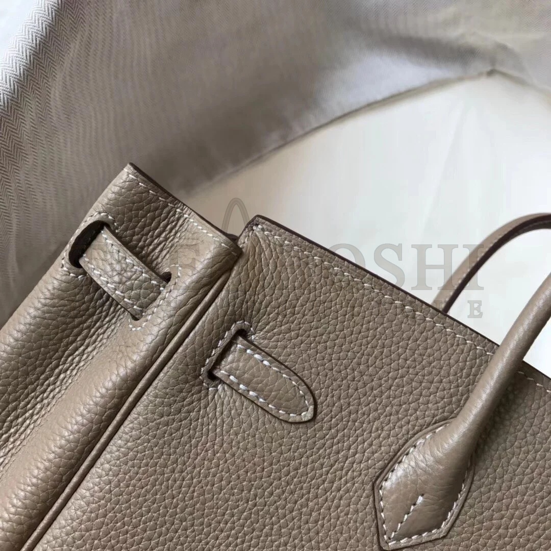 H**me5 Birkin 25 Bag In Tourterelle Clemence Leather with GHW Master Quality