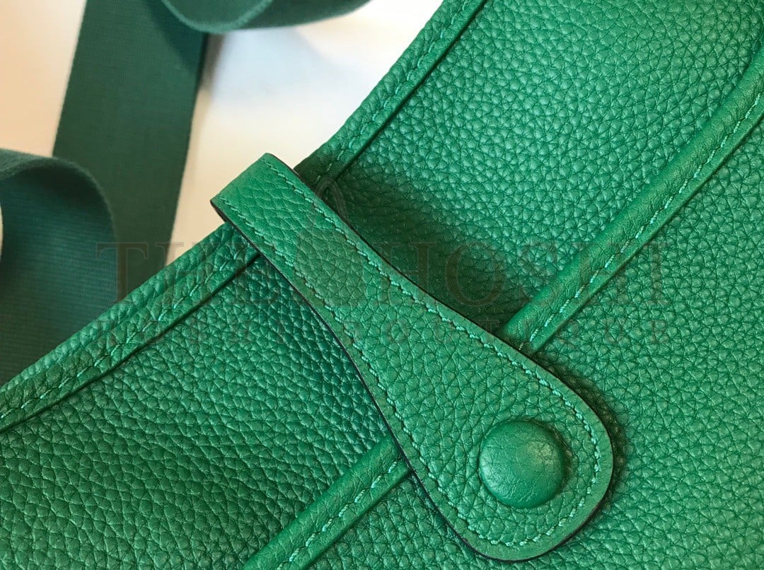 H**me5 Evelyne III 29 Bag In Vert Vertigo Clemence Leather Master Quality