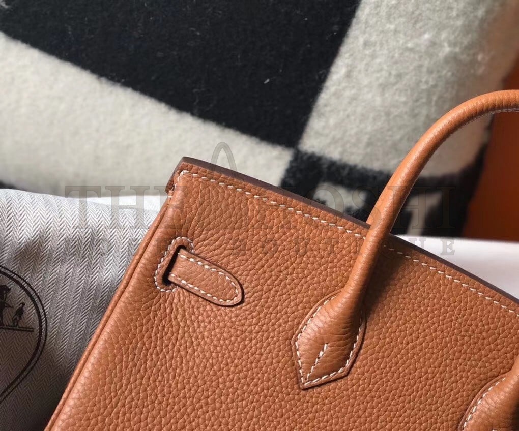 H**me5 Birkin 25 Bag In Gold Clemence Leather with GHW Master Quality