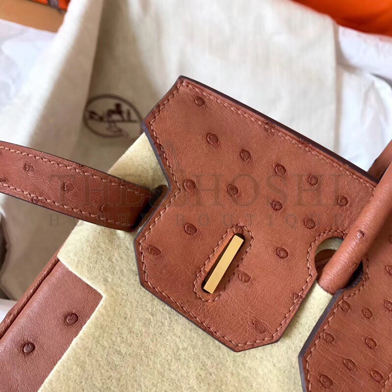 H**me5 Brown Birkin 30cm Ostrich Handmade Bag Master Quality